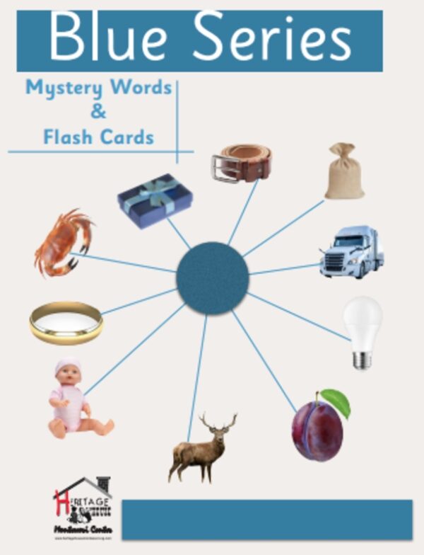 Blue Level Mystery Words & Flash Cards